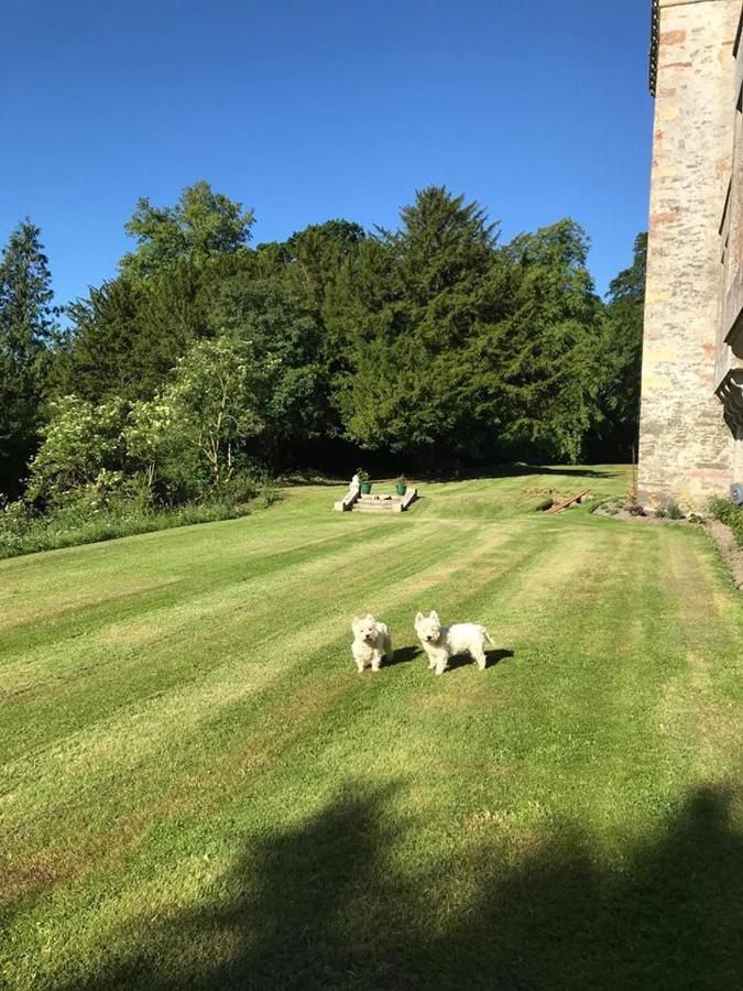 Branxholme Castle Bed & Breakfast ฮาวิค ภายนอก รูปภาพ